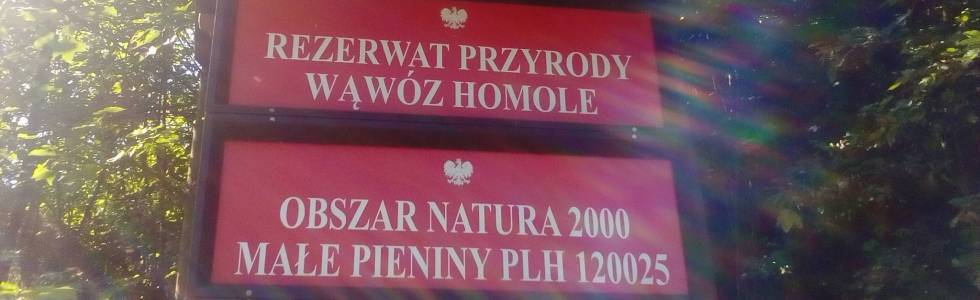 Wąwóz Homole