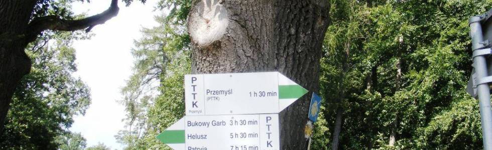 Błądzenie po Pogórzu cz. 12