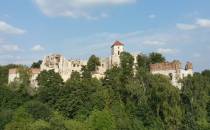 Zamek Tenczynek.