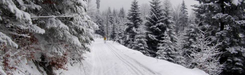 Sobota na Mogielicy, Wycieczka sekcji narciarskiej kola PTTK w Skawinie