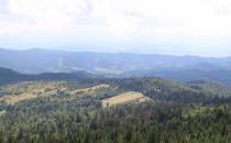 Na wieży. Tatry schowały się pod pierzynę.