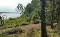 Jezioro Sarbsko