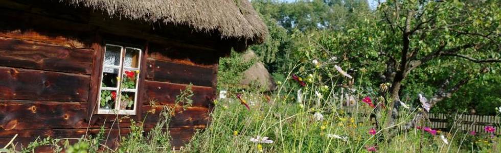 Dolinami rzek ku skarbom Podlasia i Mazowsza