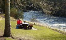 miejsce na piknik z widokiem na rzekę