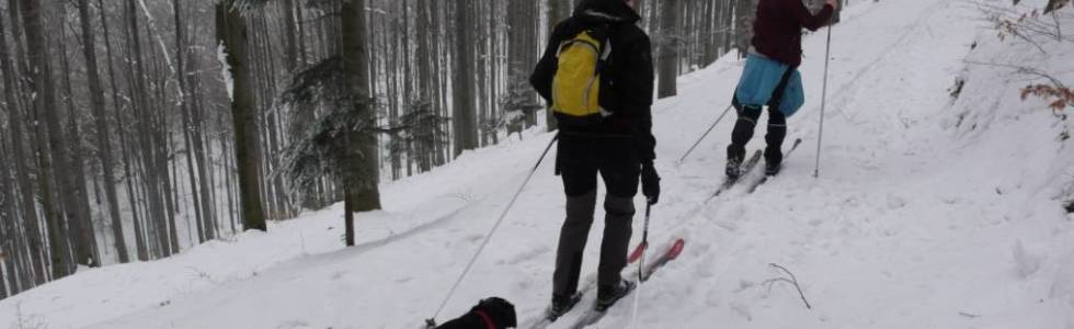 Pasmo Łososińskie backcountry. Korab