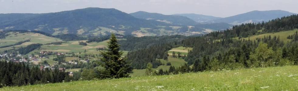 Z Rabki do Bacówki PTTK na Maciejowej odcinkiem Głównego Szlaku Beskidzkiego