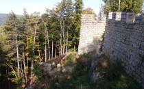 Zamek Leśna