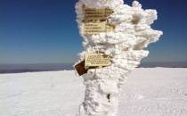 szlakowskaz na szczycie Śnieznika
