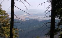 Widok  ze szczytu na Wałbrzych  i góry  Ptasia Kopa i Lisi Kamień