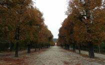 Schonbrunn