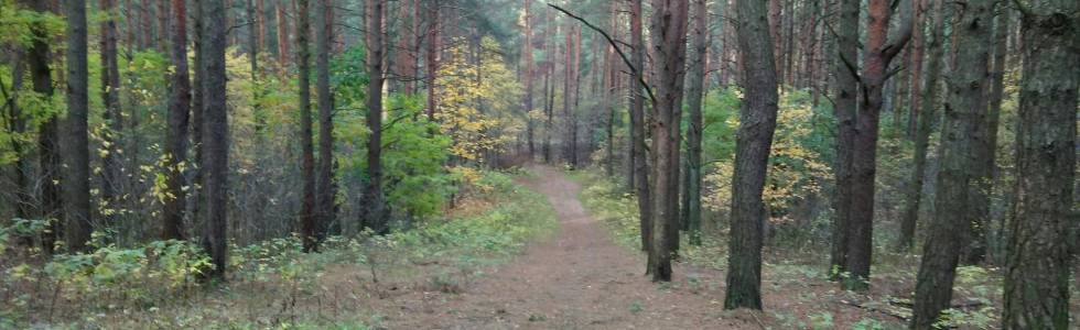 rowerem dookoła Starosielc