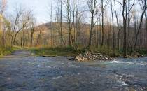 Rzeka Wapienica - w tle Góra Cuberniok