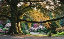 Arboretum Wojsławice