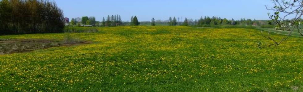 Czarną Drogą