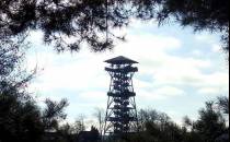 Widok na wieżę widokową we Wdzydzach Kiszewskich