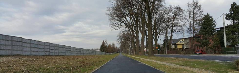 Nową ścieżką rowerową z Goczałkowic do Pszczyny.