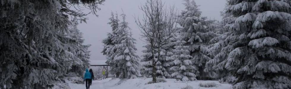 Wielka Sowa - jeszcze zimą