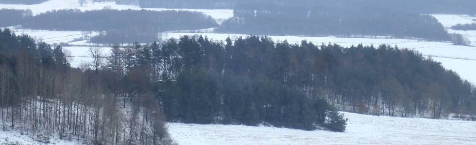 Zimowa wędrówka po wzniesieniach w okolicy Strzebielina