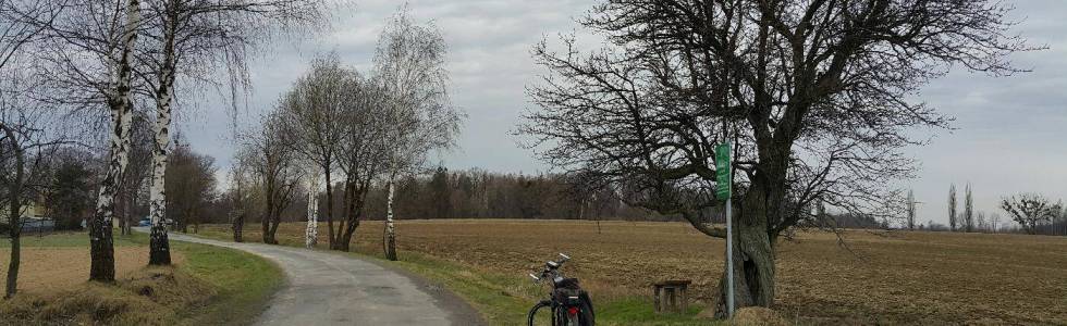 Na ławeczkę ekonoma, pod 150-letnią gruszą.