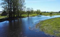 Narew