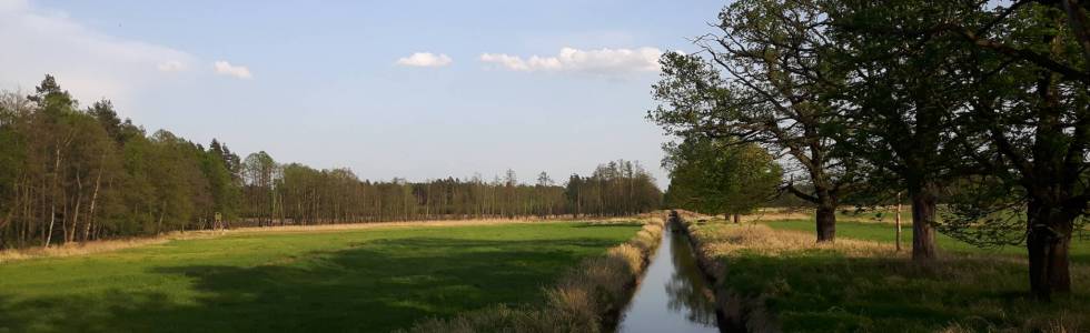 2018.04.29 - Gostyń - Wyry