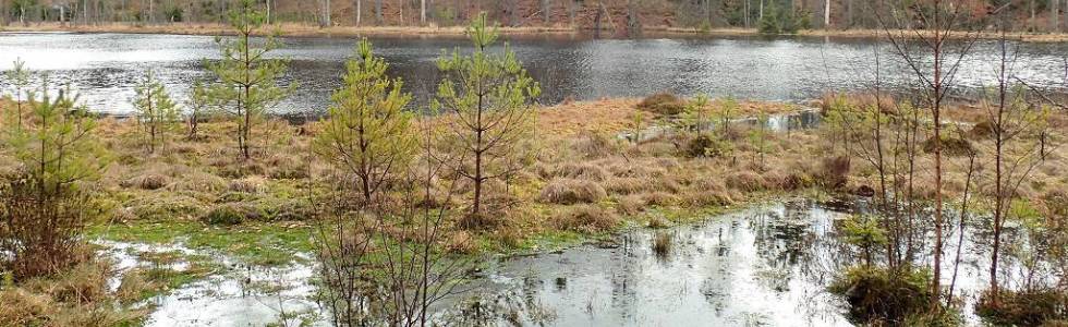 Trójmiejski Park Krajobrazowy mniej znany