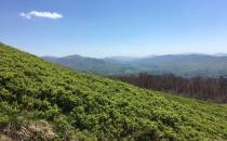 Bieszczady Wysokie