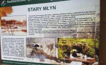 stary młyn