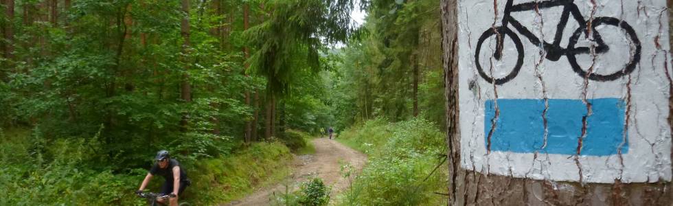 Przez Trójmiejski Park Krajobrazowy