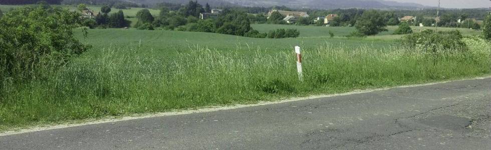 Świdnica Modliszów Wałbrzych Palmiarnia Daisy Witoszów Świdnica