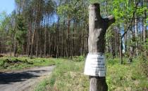 Zakaz wstępu w niekture rejony lasu ze wzgledu na niesprzątnięte wiatrołomy