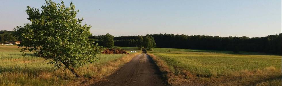 Niedzielna wycieczka przez Mały Borek