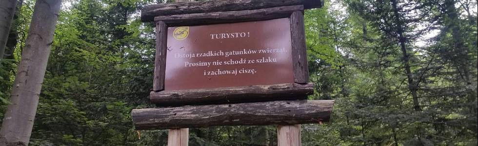 Koninki - Turbacz (KGP 6)