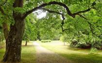 Arboretum Wirty, część parkowa