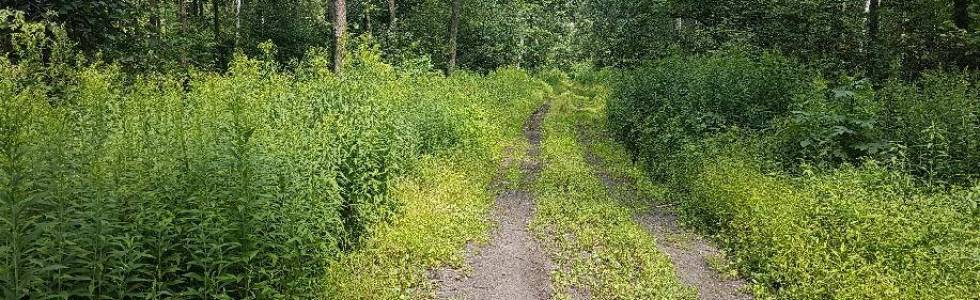 Podmiejski patrol. Do Kuligowa i nad Zalew Zegrzyński.