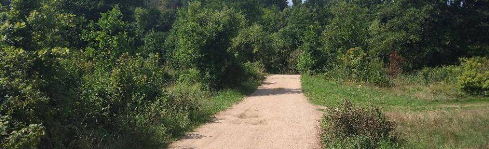 Narewka - Białowieża - Narewka przez BPN