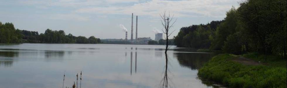 Rybnik i okolice trasami leśnymi większości...