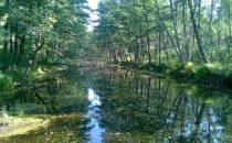 Biebrzański Park Narodowy