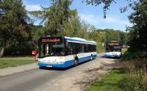 Pętla autobusowa