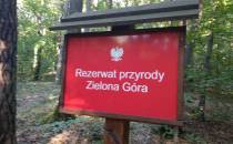 Rezerwat Zielona Góra