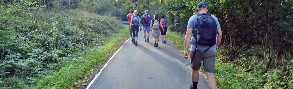 Bieszczady, krótka wędrówka na szczyt Jawornik