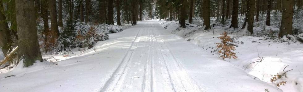 Z Bielic przez Siodło Martensa