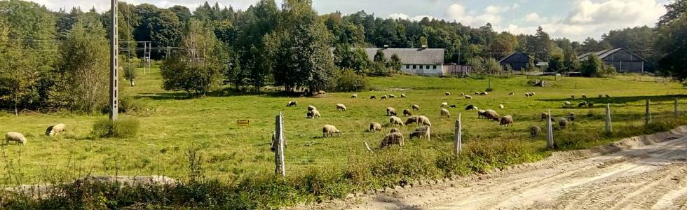 Bełżec - Horyniec Zdrój - Ruda Różaniecka