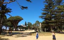 Park Genoves