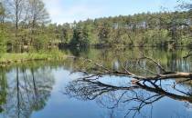 Widok na Jezioro Skąpe