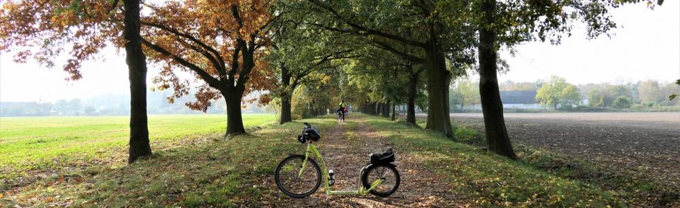 Nadgoplański Park Tysiąclecia