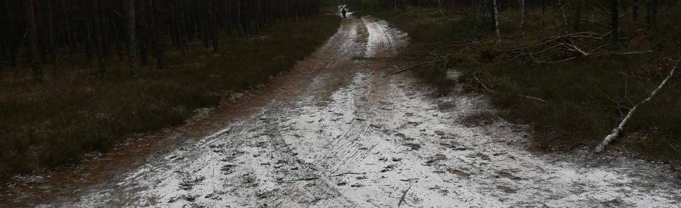 Poniedziałkowy spacer lasami Nadleśnictwa Borne Sulinowo