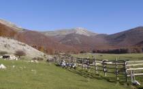 area picnic Prato di Campoli