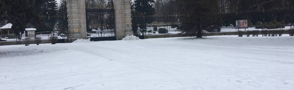 Park Śląski przed odwilżą