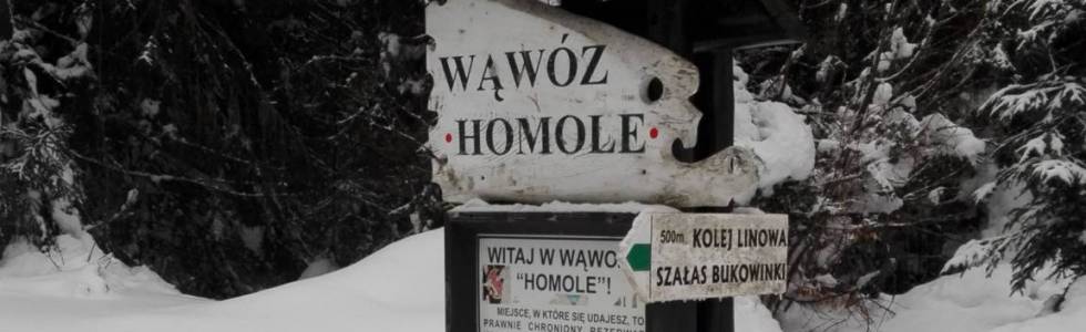 Wąwóz Homole z Jaworek.